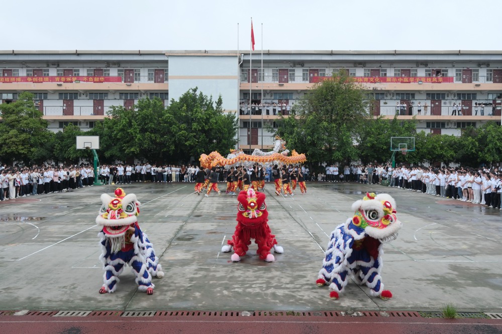 开幕式学生龙狮表演