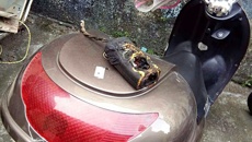 武保部开展国庆节前安全检查