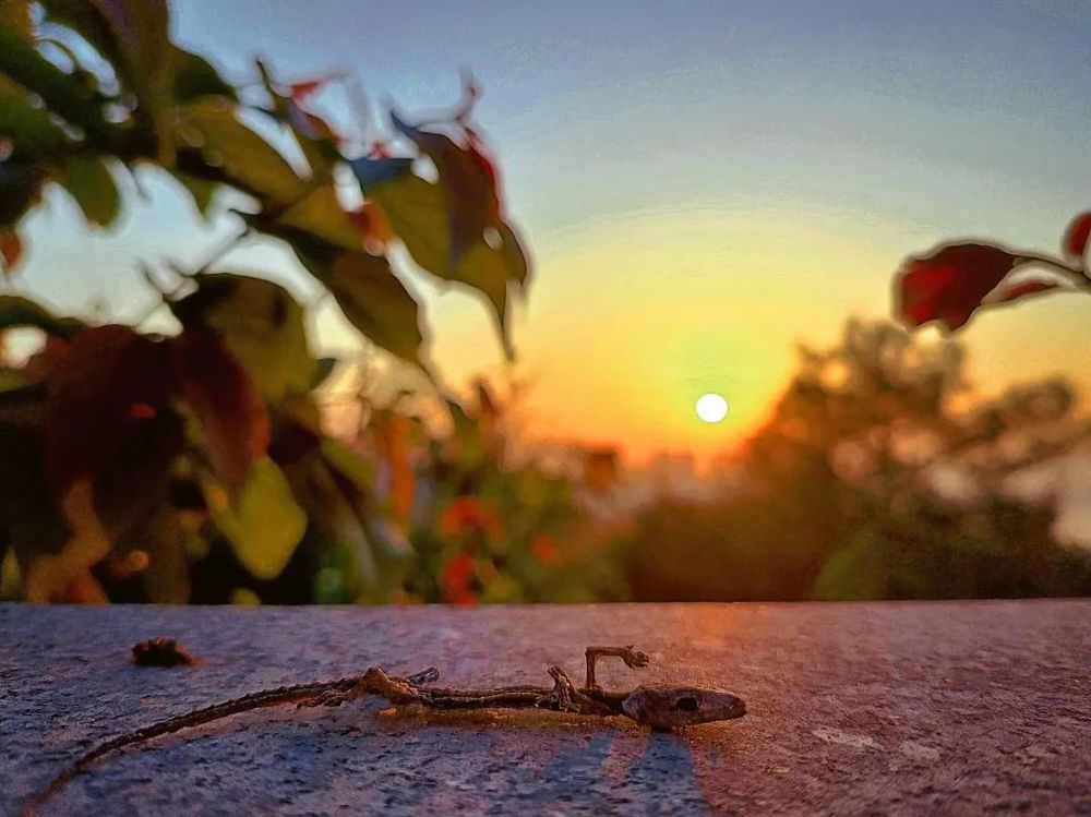 640 - 2023-05-10T122632.549