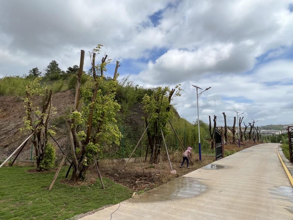 1b9bd8519c8fe35c5bb84550d244cc4