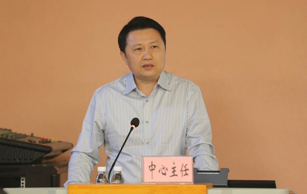 中心主任做工作计划