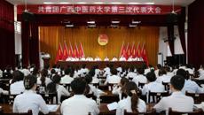 共青团beat365官方网站第三次代表大会顺利召开