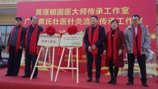 广西黄氏壮医针灸流派传承工作走进北京 国医大师黄瑾明教授带队推动壮医药文化传播