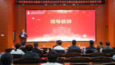 国家中医药管理局中医优势专科（壮医脑病科）专科联盟正式成立