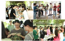 beat365依托“一站式”学生社区开展“青艾飘香端阳到，药香四溢壮瑶邀” 端午节活动